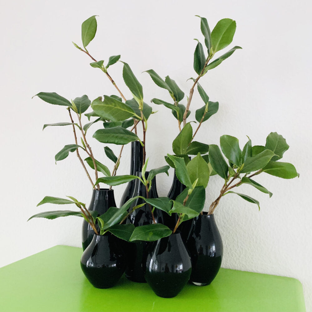 7 NIGHTS VASE image 3