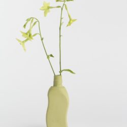 PORCELAIN BOTTLE VASE  #12